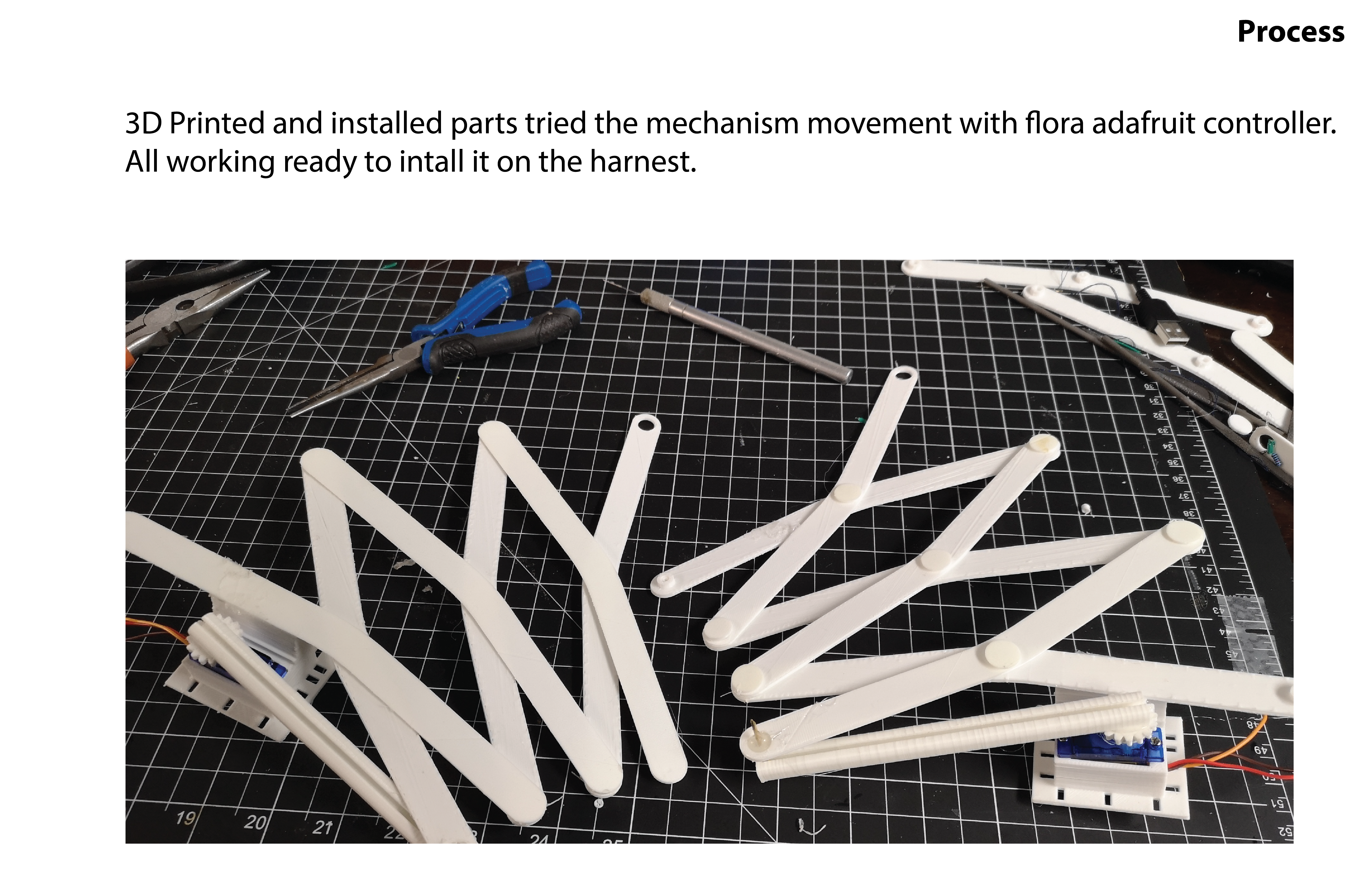 Process — Assembly with Flora